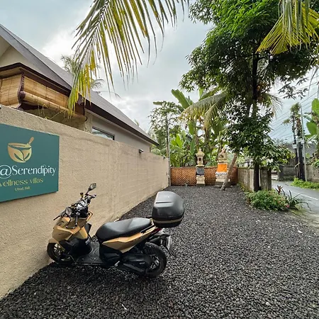Live At Serendipity Wellness Villas